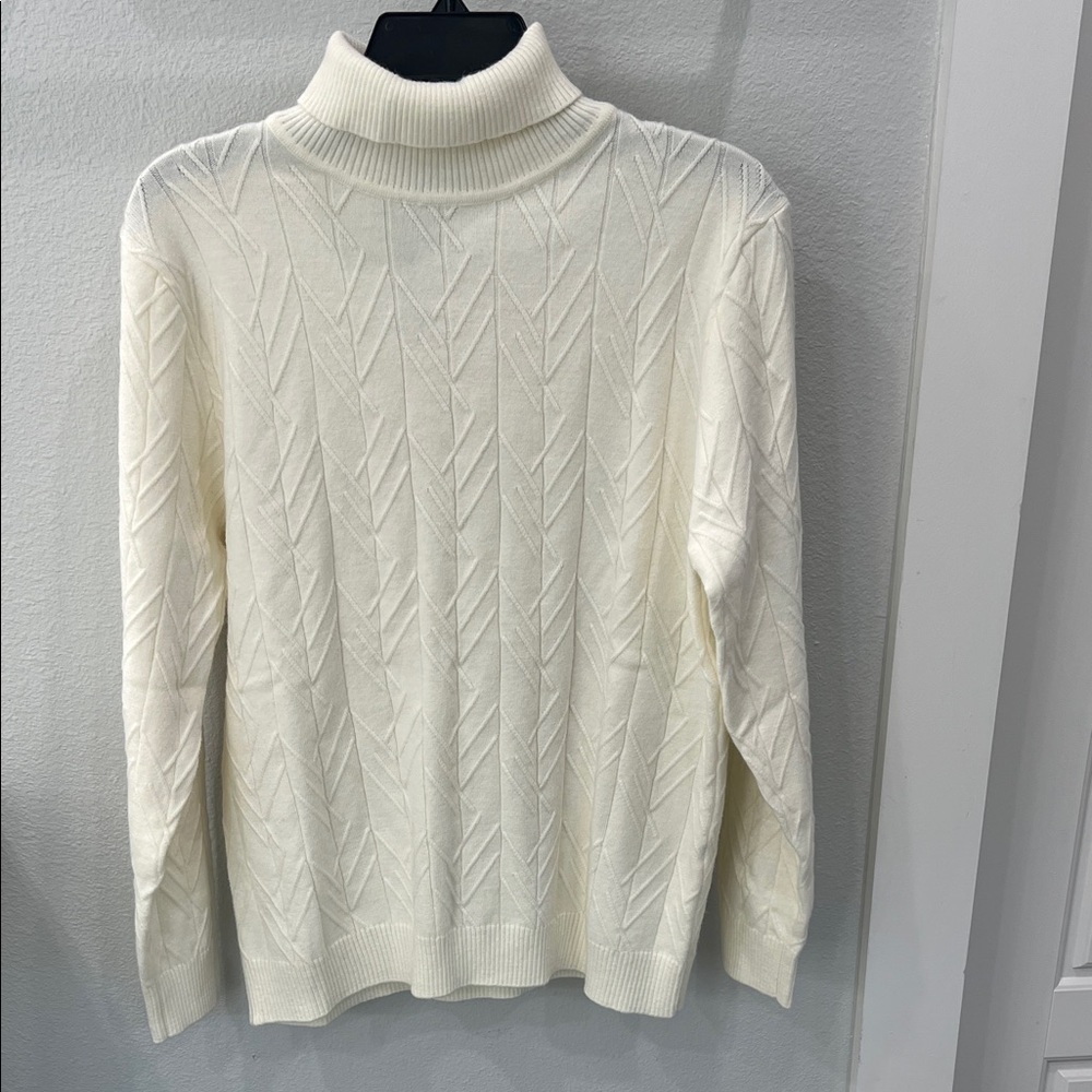 NWT. Ivory Turtleneck Sweater